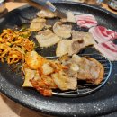 한돈암돼지
