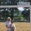 다래뜰 목장 이미지