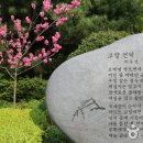 연두색 쉼표 찍기, 청양 고운식물원 이미지