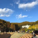 [용인/처인구] 단풍 명소 한국외국어대학교 글로벌캠퍼스 명수당 방문 후기(주차 정보 등)