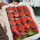 비룡산약선오리 | [경북/칠곡맛집] 비룡산 약선오리 - 보양식 능이오리백숙, 찰밥과 국물의 최상 조합!