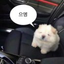 [문화예술교육사 자격증 취득] 이화여자대학교 문화예술교육원 여름학기 수강 후기 문화예술교육 실습처