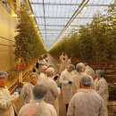 기우농장 이미지