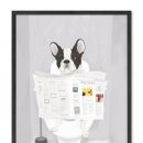 위대항외과의원 이미지