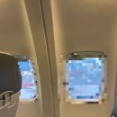 UR(서귀포시)-[태위로]-하-10 | 6월 말 대구-제주 여행_힐링여행인척 먹부림 즐기고 옴_1박2일 혼자 여행, 렌트카여행