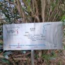 중문동-17 | 제주오름추천 l 아이와 함께 오르기 쉬운 제주베릿내오름 등산후기