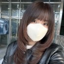 허쉬HS