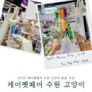 라라캣 | 2025 케이펫페어 수원 고양이 숨숨집 캣타워 장난감 유모차 집사 심쿵 용품 사냥