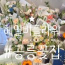노원-공릉-3286 | 공릉 꽃집, 헤일비플라워 2번 구매한 후기! feat. 졸업식+졸업스냅
