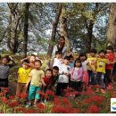 모암초교병설유치원 이미지