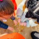 수안체육공원 이미지