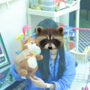 짜홍 | 부평 파티룸 추천 부천 굴포천 이색 데이트 라틱인천 가성비 숙박 노래방 생일파티