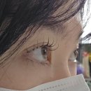 강남1길 | 강남 애니메래쉬 LED속눈썹 1세대 펌포인트연장 후기