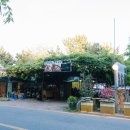 등나무집 - 화성시 매송고색로395번길 35 | 경치 좋은 기장 노포 등나무집 잔치국수 맛집 후기
