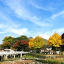 민속마을 | 외암파전 상전ㅣ평택근교 아이랑 가볼만한 곳 천안아산 외암민속마을 맛집 후기