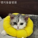 빛가람동물병원 이미지