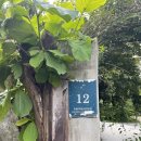 이종무로200번길 이미지