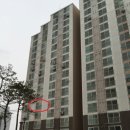 신샘밭로 이미지