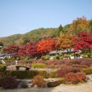 배론성지 이미지