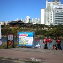 태화강국가정원 이미지