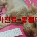24시청주i동물메디컬센터
