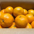 강철규안경 | 2025.01 만두가 달덩이같이