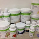 허벌라개 | 효과좋은 다이어트 한달 후기