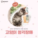 봉곡동물병원 이미지