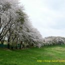 한산한우농장 이미지