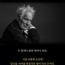 양을로 이미지