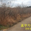 용진1농장 이미지