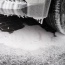 유일광택 이미지