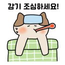 호텔 그레이스리 서울 이미지