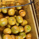 튼튼농장 이미지