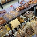 파니피카 이미지