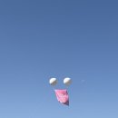 나부스 | 너무 재밌었던 나는솔로런 참가 후기 ! (+ 부스 왕창 돌고옴