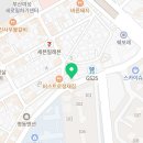 부산고양이분양 그린캣 이미지