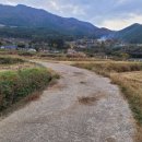 여항면공설운동장 이미지