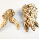 경희한방약국 이미지