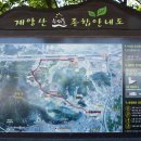 계양산 누리길 이미지