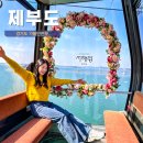 토평공원앞 버스승강장 | 경기도 가볼만한곳 화성 제부도 서해랑 케이블카 시간 순환버스