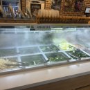 삼광의원 | 더현대 여의도 / 샤브샤브 채선당 올림픽공원점 아플땐 뜨끈한 샤브샤브