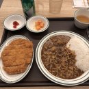 아비꼬 롯데백화점 대전점 | 롯데백화점 대전점 🍛 아비꼬카레 솔직 후기｜오랜만에 느낀 진한 일본식 카레의 맛 🔥