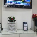 서정점 기아오토큐 이미지