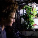 우주 ‘식집사’는 빛 대신 이산화탄소로 식물을 키운다? 이미지