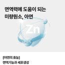 네끼니(장기점) | 일본 카베진 효능