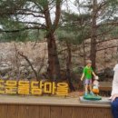 어머니족발