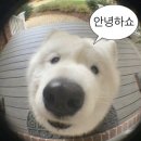 카페 러브유 이미지