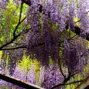 삼풍가든 이미지