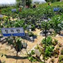 규연농장 이미지